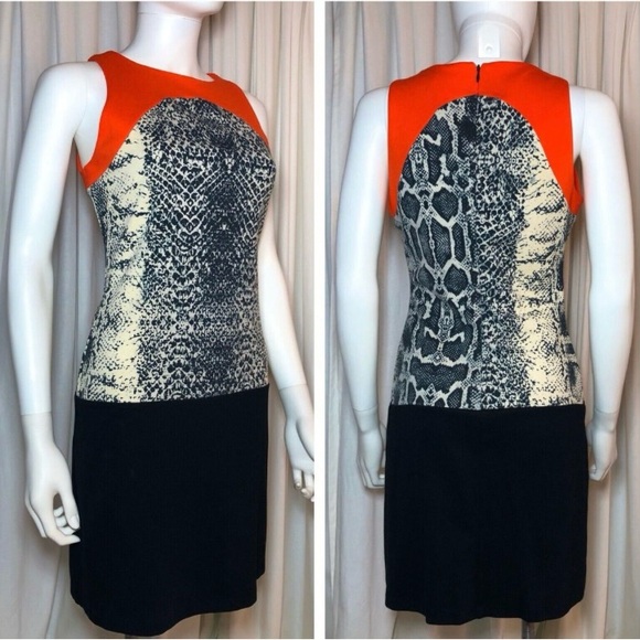Shelby & Palmer Snake Print Dress - Picture 2 of 2